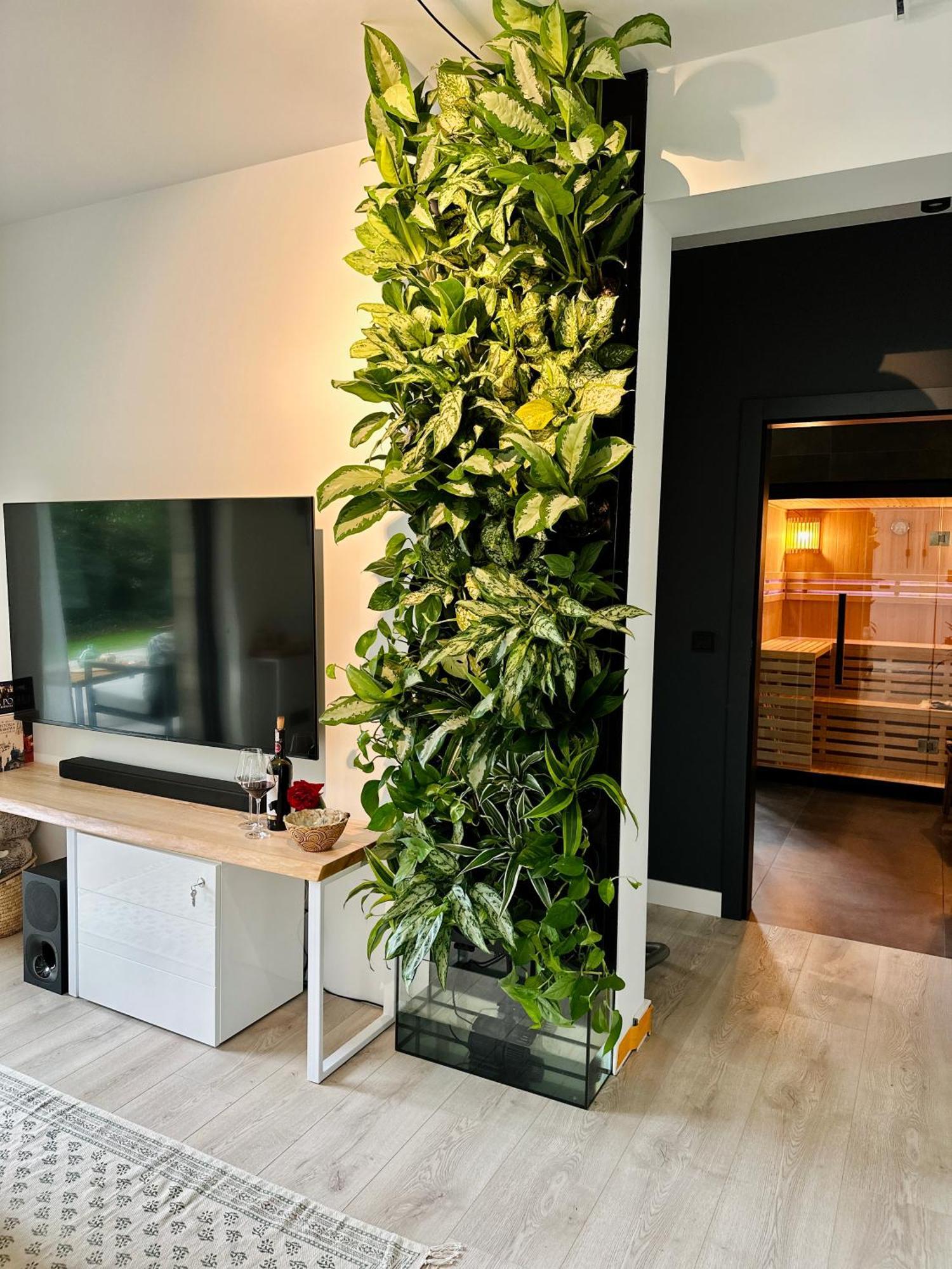 Appartement Bm *